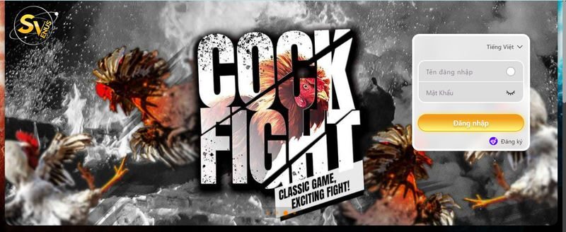 Link vào vsvplay.com - Nhà cái đá gà uy tín nhất hiện nay