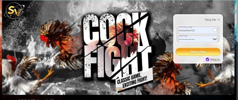 Sảnh đá gà Campuchia với nhiều trận đấu cực hấp dẫn