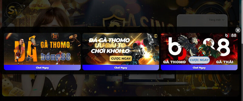 Thương hiệu nhà cái đáng để trải nghiệm nhất hiện nay