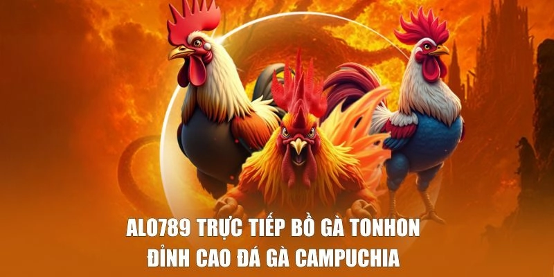 Alo789 Trực Tiếp Bồ Gà Tonhon